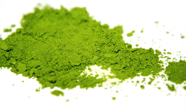 Matcha — thé vert énergisant naturel